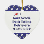 Älska min Tolling Retrievers för den Nova Scotia a Julgransdekorationer