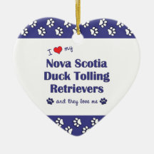 Älska min Tolling Retrievers för den Nova Scotia a Julgransdekorationer