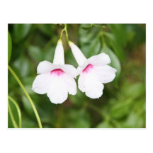 Älskareblommavykort