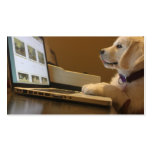 Älsklings- fotografi, hundtränare, hundfotgängare visitkort mallar