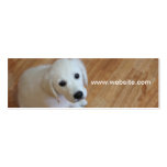 Älsklings- fotografi, hundtränare, hundfotgängare visit kort