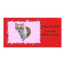 Älsklings- kattdjur Navidad PhotoCard för beställn Anpassade Foto Kort