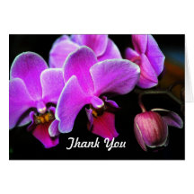 Älskvärd Orchid Hälsningskort