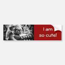 Älskvärda Playfull Mops Bildekaler