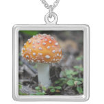 Amanitachampinjonhalsband