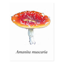Amanitamuscariavykort