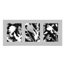 Ambrosial Ephemerality Fotontryck