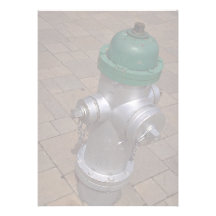 Americana (hydrant), Florida, USA Personliga Inbjudan