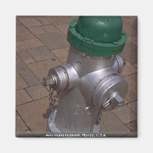 Americana (hydrant), Florida, USA Magneter