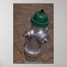 Americana (hydrant), Florida, USA Posters