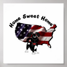 Amerika: Hem- sötsakhem - USA Silhouette Affischer