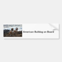 amerikanbulldogg bildekal