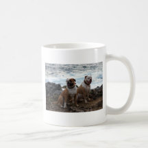 amerikanbulldogg kaffe mugg