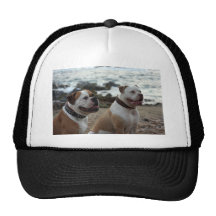 amerikanbulldogg keps