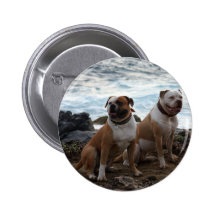 amerikanbulldogg knapp