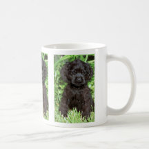 AmerikancockerspanielSpaniel Kaffe Kopp