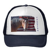 Amerikanen inkvarterar den patriotiska hästen och  keps