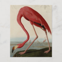AmerikanFlamingo Custom Flyer