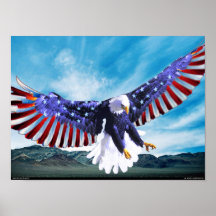 Amerikanörn Affischer