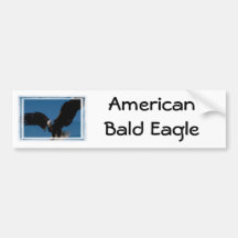 Amerikanörn Bildekal