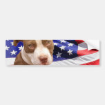 AmerikanPitbull valp Bildekaler