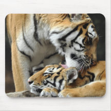 Amur tigerunge mus matta