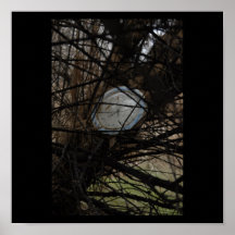 _AN26527 AFFISCHER