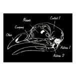 Anatomical visitkort för fågelskalleillustration