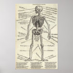 Anatomigravyr Print