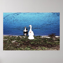 Änder Posters
