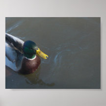 Andtryck Print