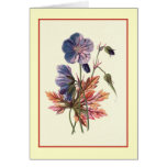 "ÄngCranesbill" botanisk illustration Hälsnings Kort