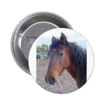 Ängel Knappar Med Nål
