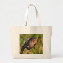 Anhinga och fisk tote bags
