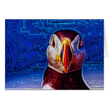 Animal09 Kort