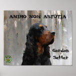 ANIMO NON ASTUTIA, affisch för Gordon Setter