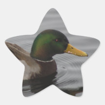 Anka 3 klistermärke