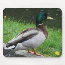 Anka - fågelmousepad musmattor
