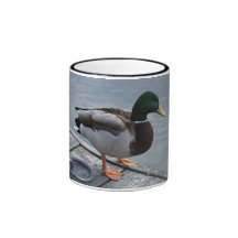 Anka Kaffe Kopp
