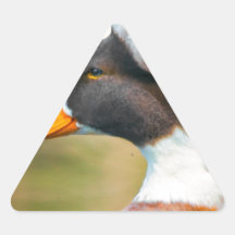 Anka med Mohawk Triangle Sticker