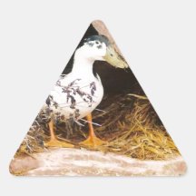 Anka som bevakar grottan triangle sticker