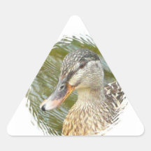 Anka Triangle Sticker