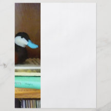 AnkaDecoy på bokhylla Flygblad Designs