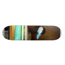 AnkaDecoy på bokhylla Skate Board