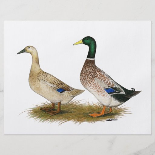 Ankor:  Walesisk Harlequin för silver Flygblad Designs