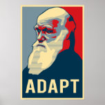 Anpassa Affisch
