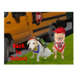 Anpassadeback to school vykort