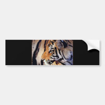 Ansikte av tigern bildekaler