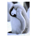 Antarktis Antarctic peninsula, Weddell hav, Fotografi