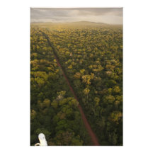 Antennen beskådar av rainforest. Iwokrama reserver Fotokonst